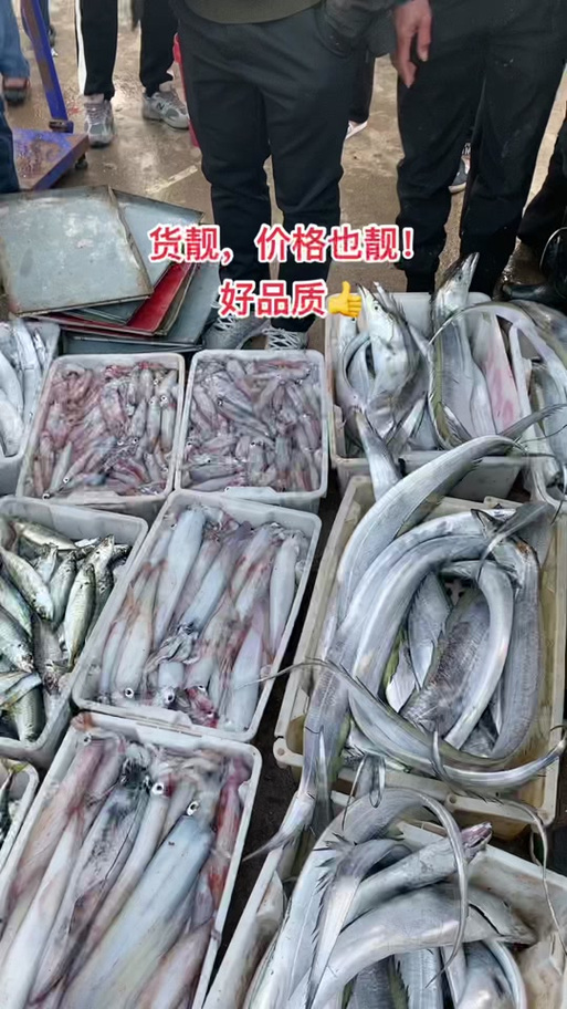 惠来县神泉镇渔沧水产品店的小店3号:灯光小管回来了!