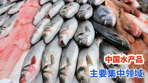 中国水产品出口主要领域 鱼贝来料加工呈现全方位领先优势